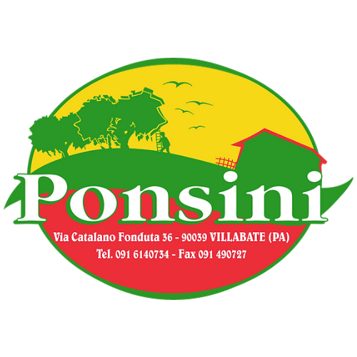 ponsini