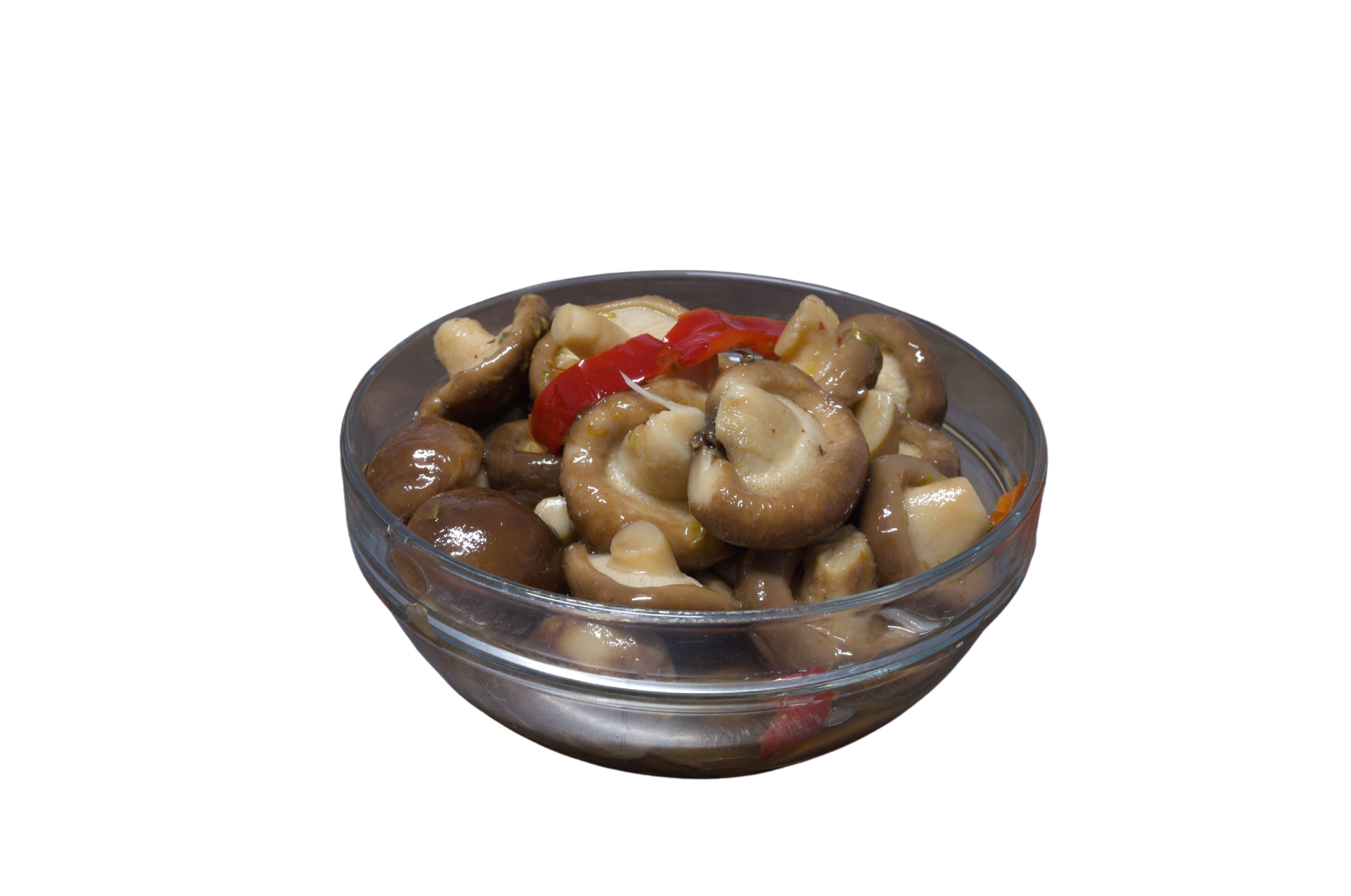 funghi- porcini-testa-nera