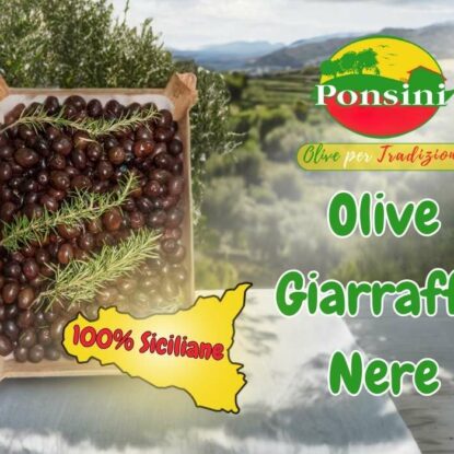 Olive Nere Giarraffa Giganti: Un Gioiello Biologico dalla Terra Siciliana