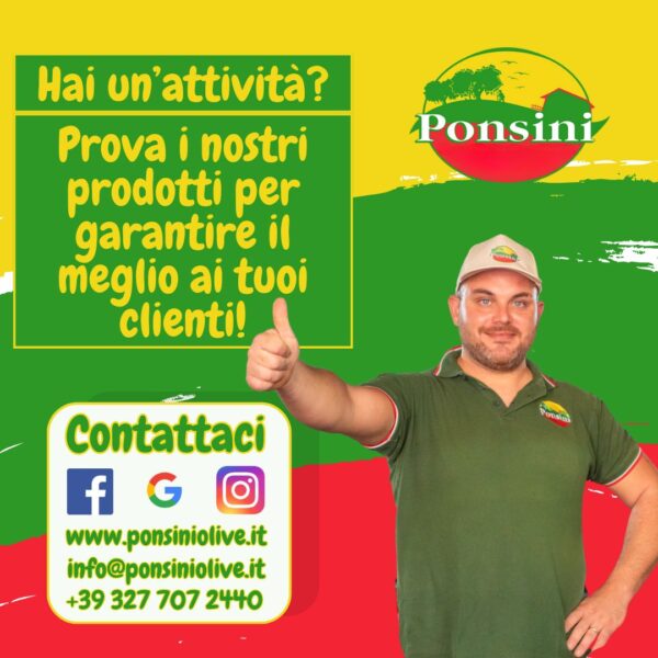 ponsini-olive