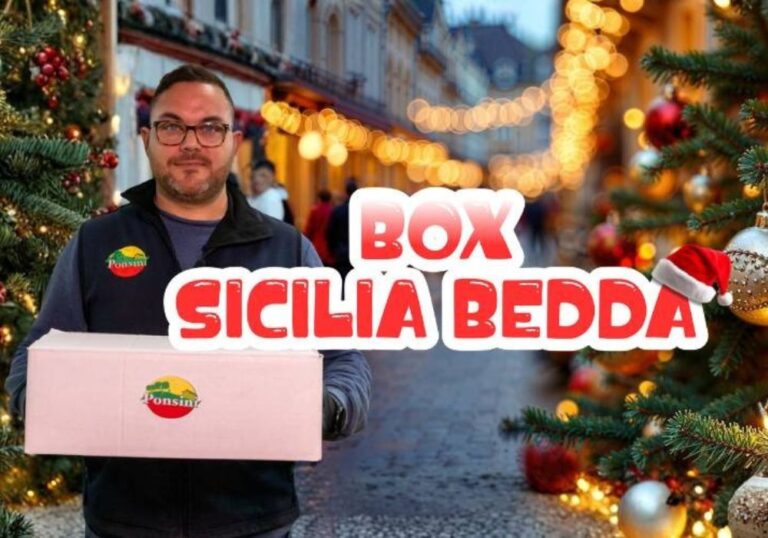 Box Sicilia Bedda