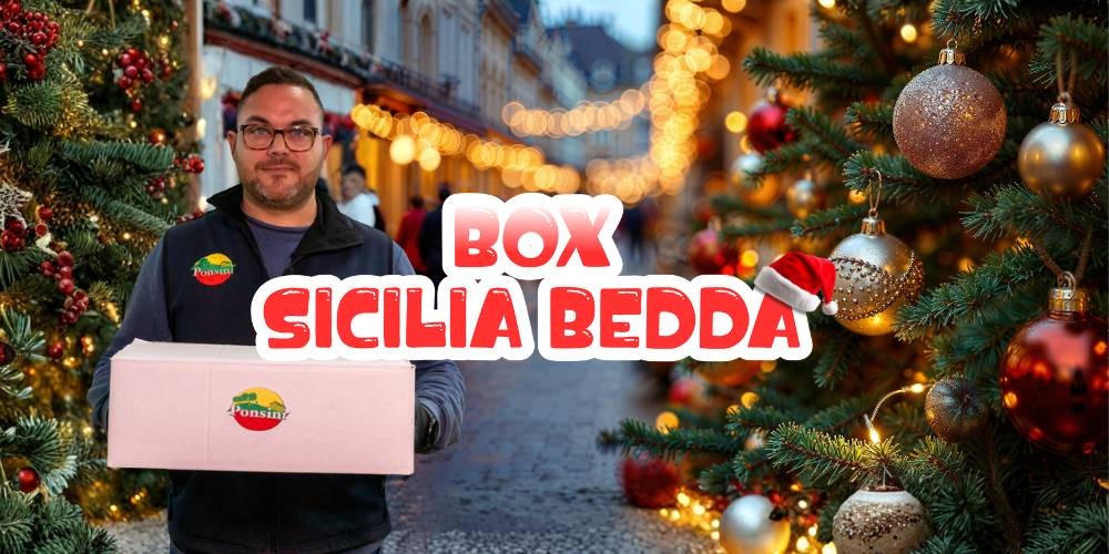 Box Sicilia Bedda