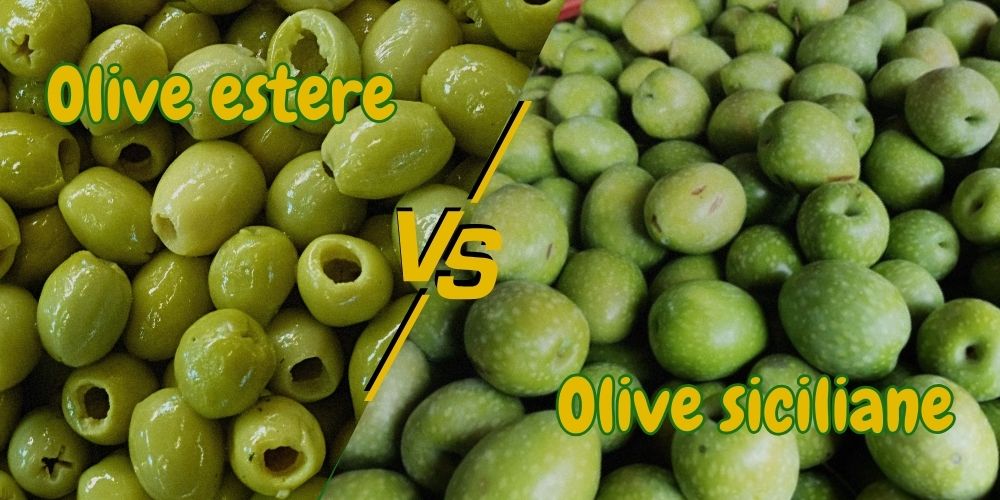 olive-di-qualità