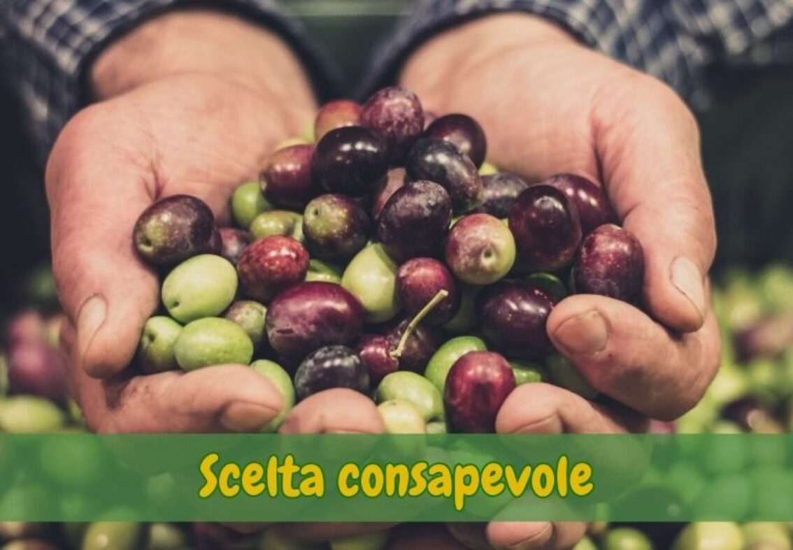 Olive di qualità: come riconoscerle davvero