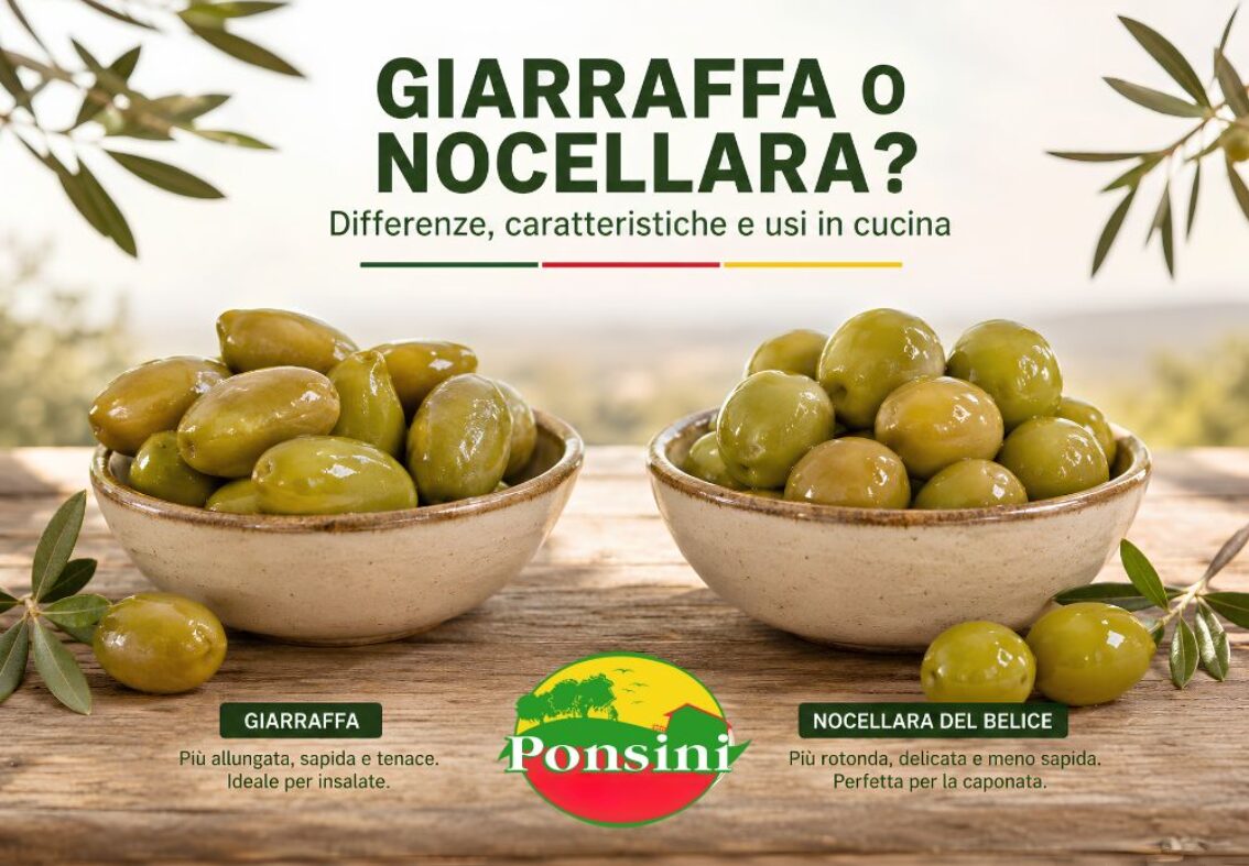 Differenza tra olive Giarraffa e Nocellara del Belice